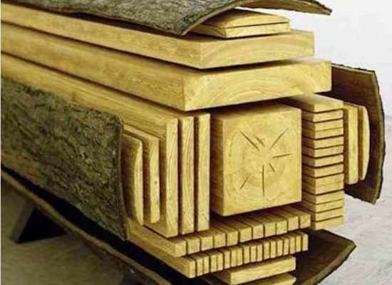 WhatsApp Image 2026-02-01 at 3.49.36 PM